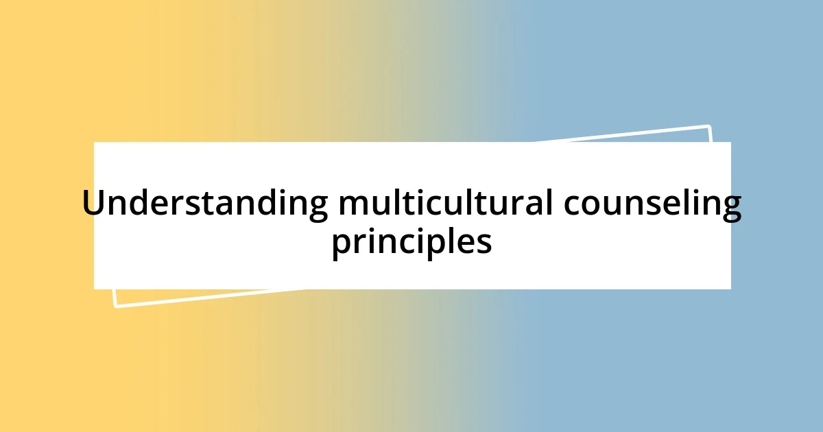 Understanding multicultural counseling principles